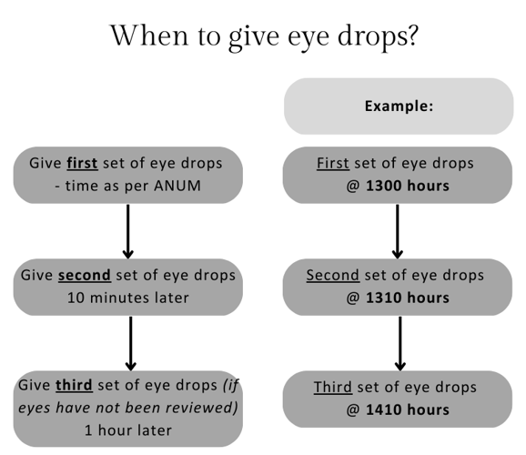 Neonatal Eye_Eye drop23